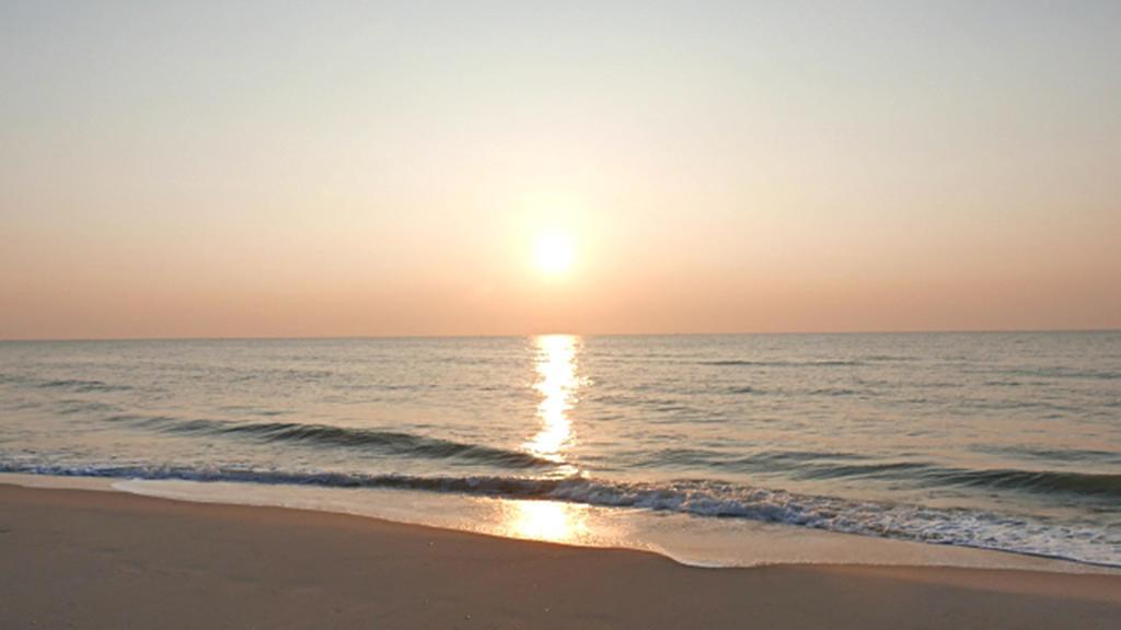 Hung Do Beach Homestay هوي ان المظهر الخارجي الصورة